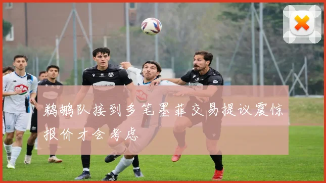 鹈鹕队接到多笔墨菲交易提议震惊报价才会考虑