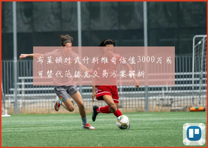 布莱顿对武什科维奇估值3000万或可替代范赫克交易方案解析